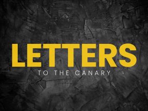 Read more about the article Letters to the Canary: what has happened to democracy and patriotism, and is the EU all bad?