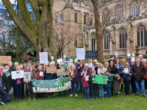 Read more about the article Ripon Cathedral mired in controversy over tree-felling plans