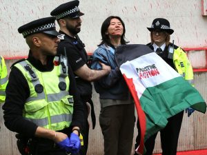 Read more about the article Palestine Action steps up campaign of protest over Israel