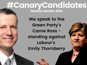 Read more about the article meet the Green Party rep standing against Thornberry