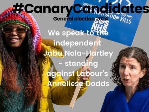 Read more about the article candidate standing against Anneliese Dodds