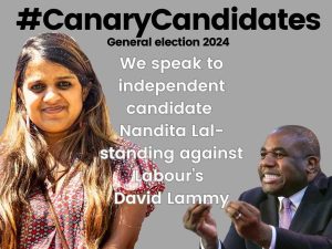 Read more about the article indy candidate against David Lammy in Tottenham