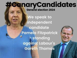 Read more about the article Pamela Fitzpatrick ex-Labour candidate now standing against them