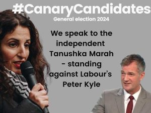 Read more about the article indy candidate standing against LFI Peter Kyle