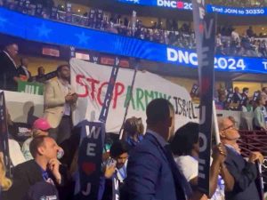 Read more about the article DNC descends into chaos, violence against pro-Palestine activists