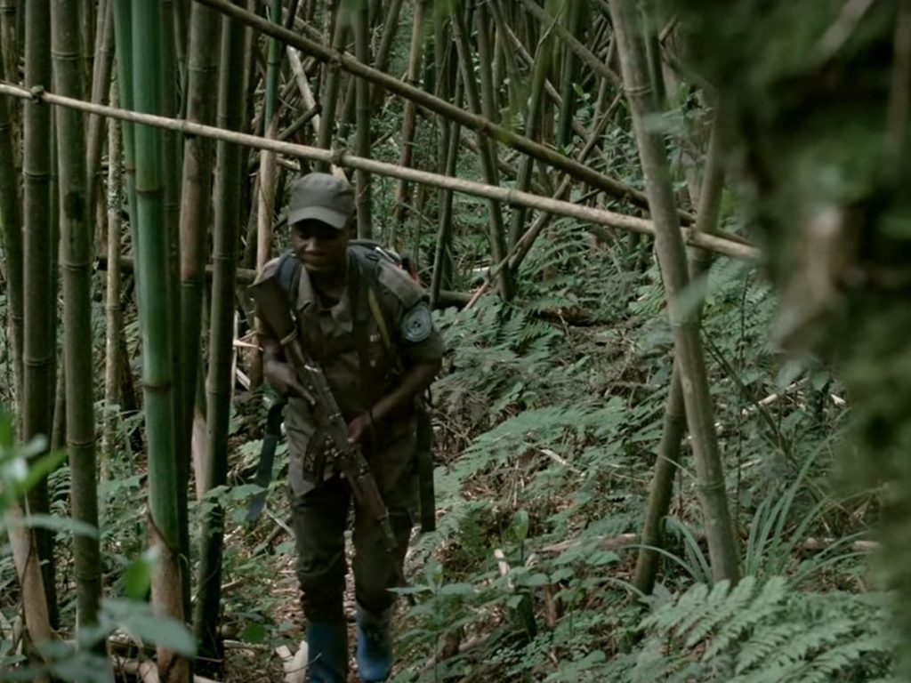 Read more about the article DRC fortress conservation: human rights abuses rife