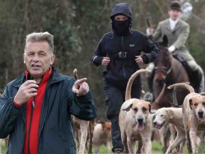 Read more about the article Fox hunting national event slammed by Chris Packham, Hunt Sabs