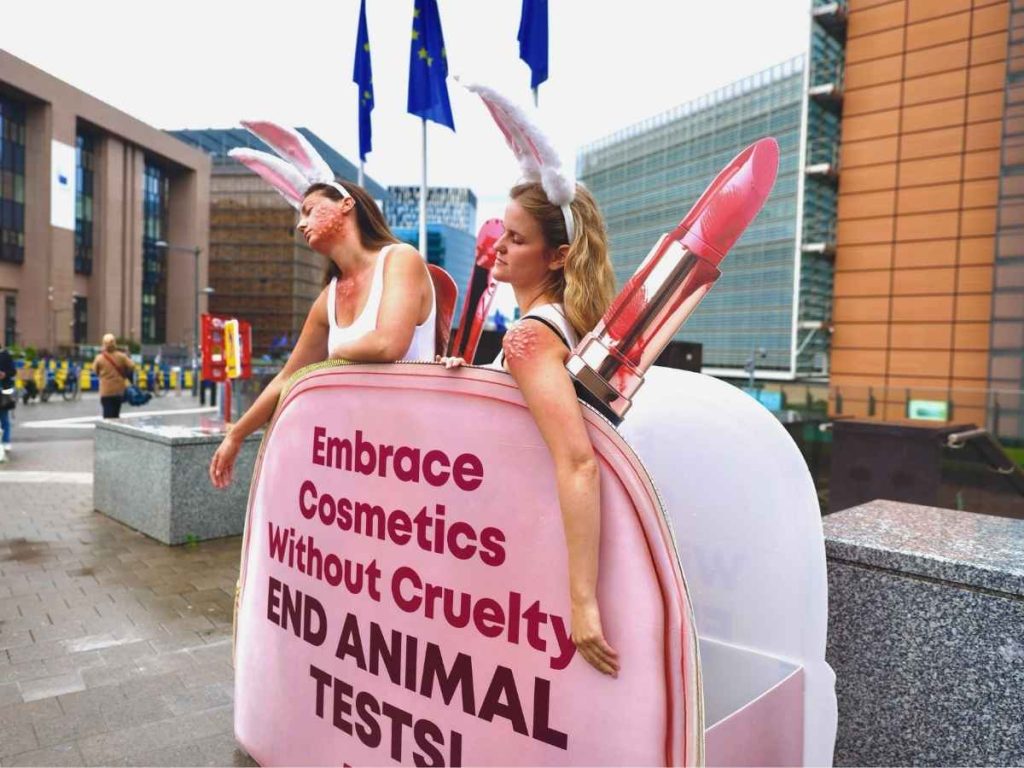 Read more about the article PETA stages protest over the EU’s dire animal testing ‘ban’