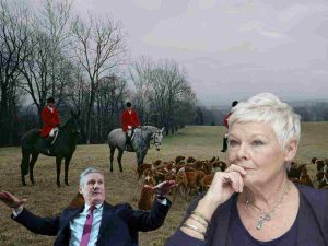 Read more about the article Judi Dench urges Labour government to take action on fox hunting