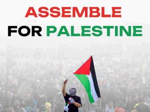 Read more about the article Assembly for Palestine showed just what can be organised