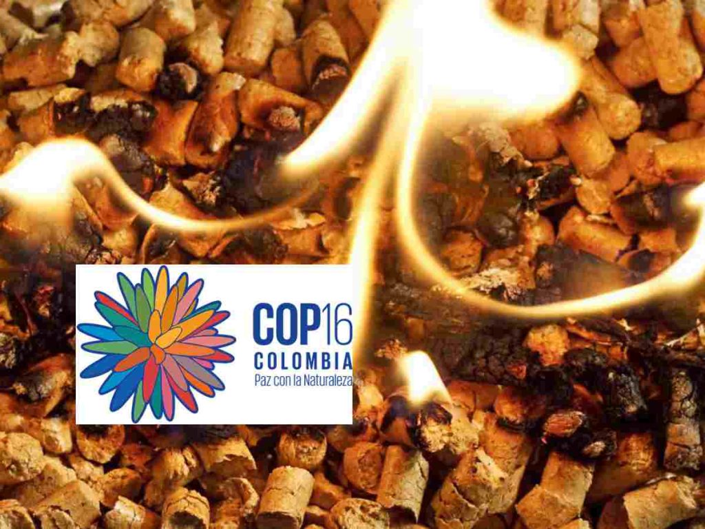 Read more about the article CBD COP16 has a chance to STOP harmful biomass subsidies