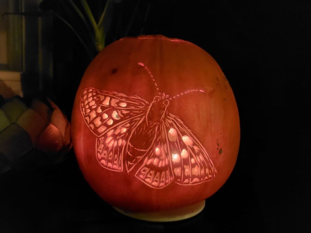 Read more about the article spooky butterfly fun for the kids