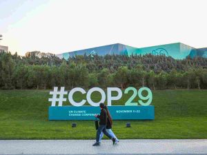 Read more about the article COP29 must not greenwash the risks of biomass energy