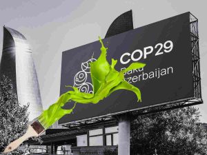 Read more about the article COP29 climate finance just exposed as even more greenwashing