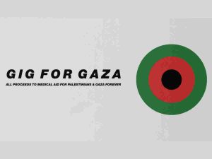 Read more about the article Gig for Gaza sees Paul Weller, Paloma Faith, Lowkey, and others