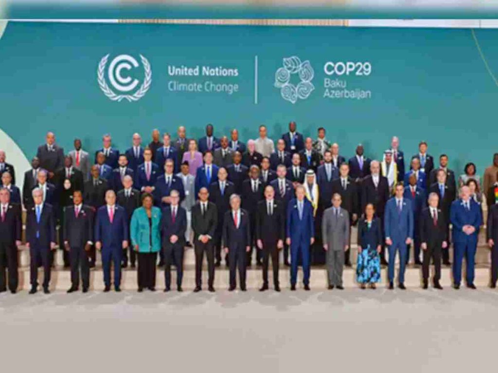 Read more about the article Carbon markets subject to yet more greenwashing during COP29