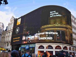 Read more about the article Greyhound racing ban campaign takes over Piccadilly Circus